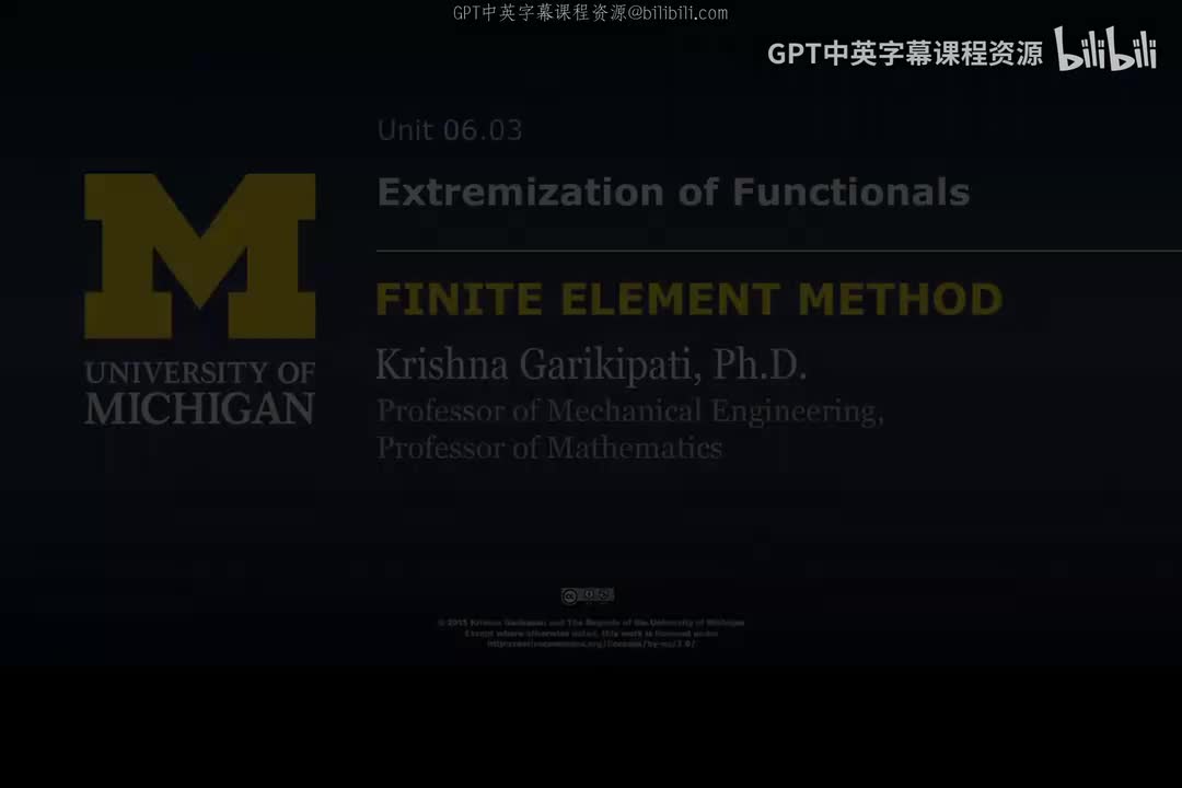 70_06 03 泛函的极值化.zh_en