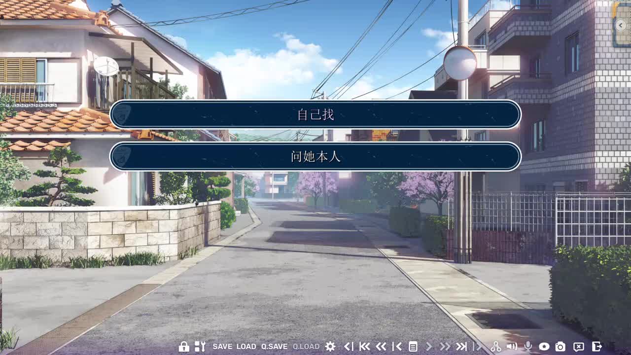 选择【自己找】（之后是『CHAPTER 2-6』）