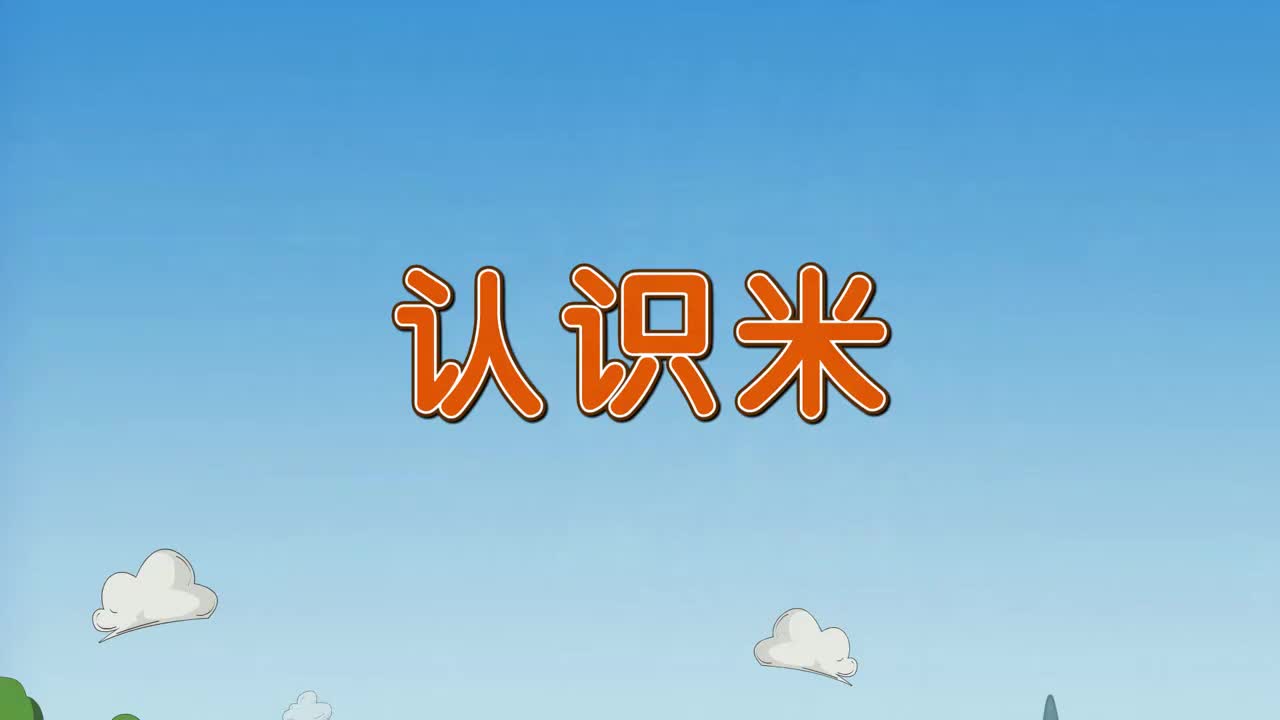 二年级(上) 1.3、认识米