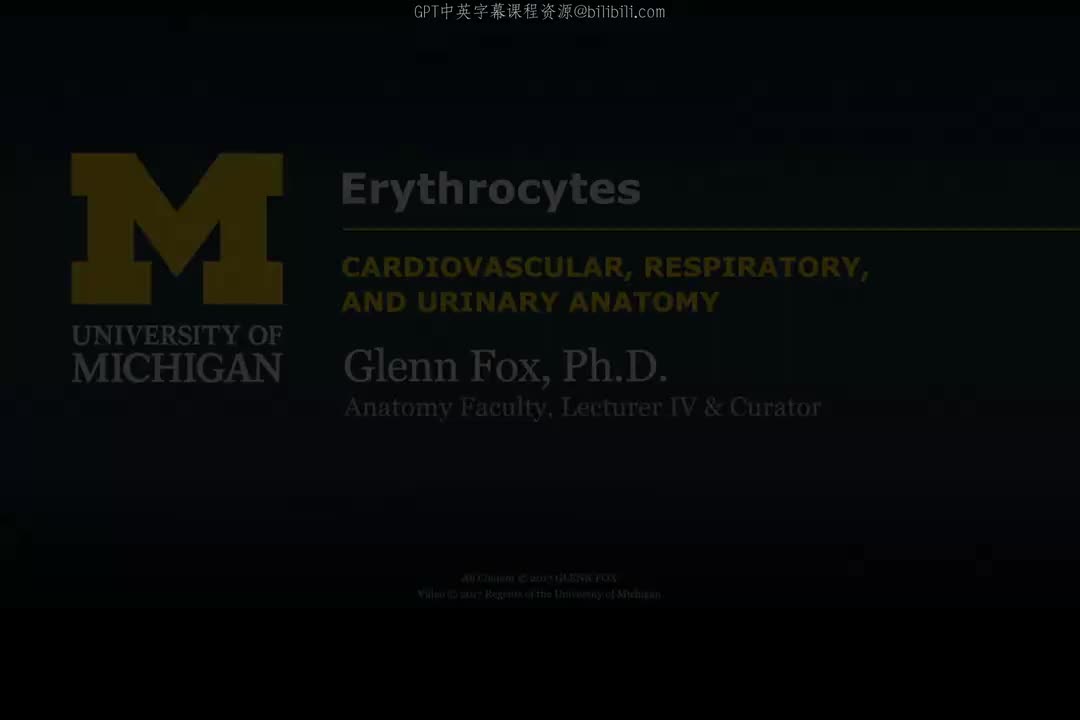 2_红细胞的结构、功能与病理.zh_en