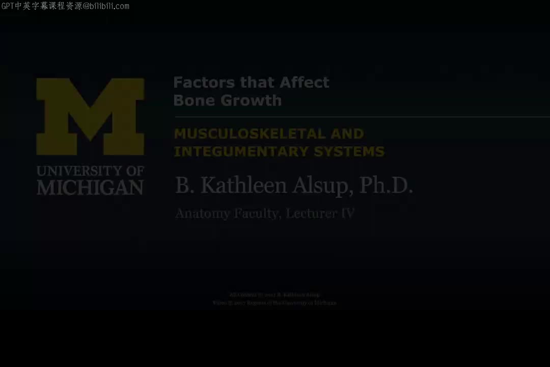 12_影响骨折愈合与骨修复的因素.zh_en