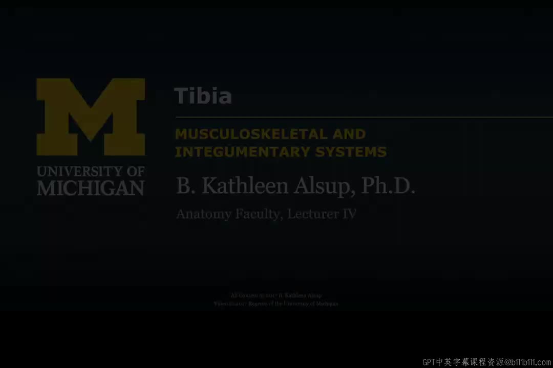 32_下肢骨：胫骨.zh_en