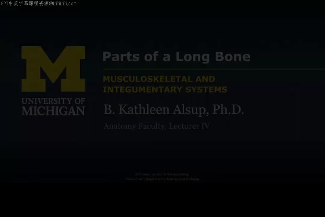 6_长骨的组成部分.zh_en