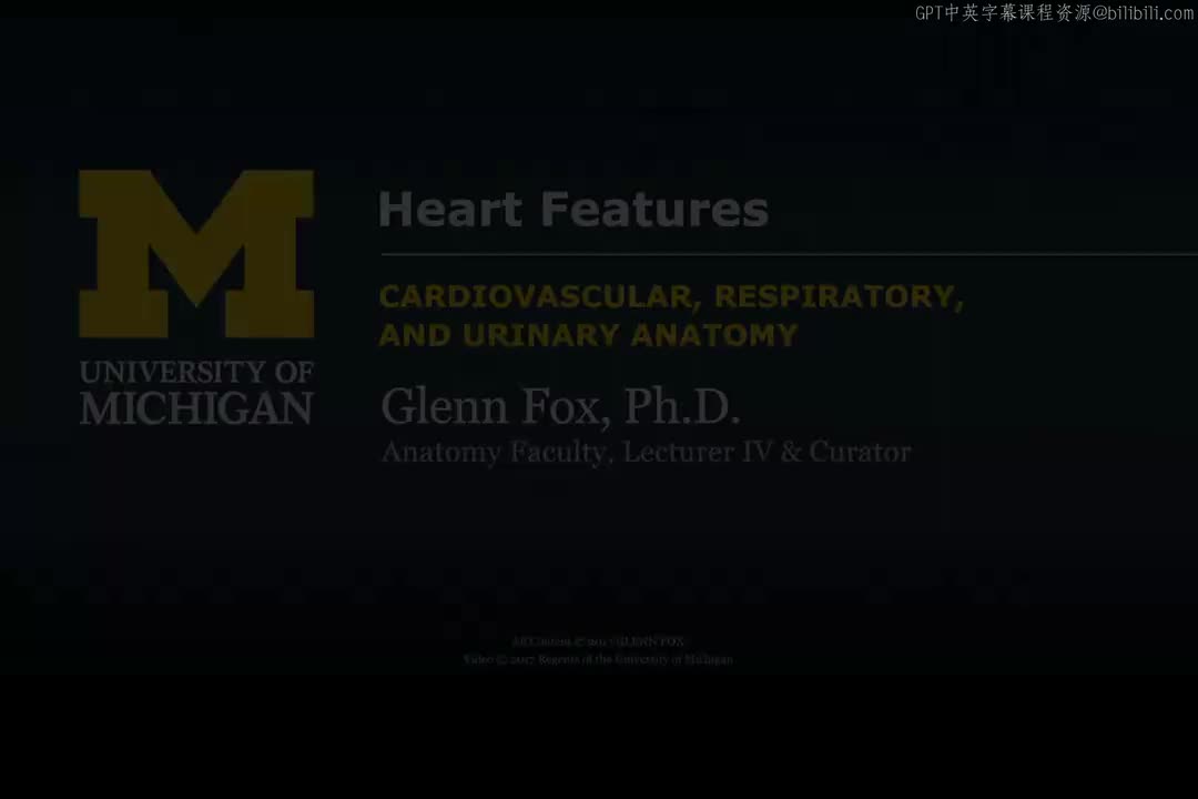 9_心脏特征.zh_en