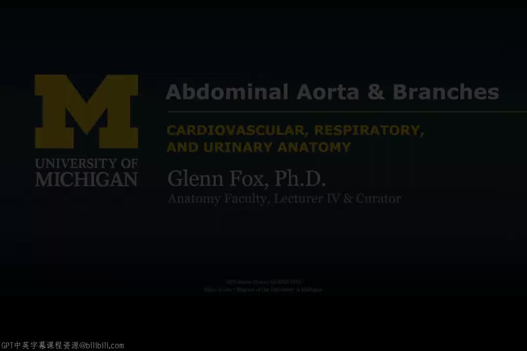 16_动脉通路 II.zh_en