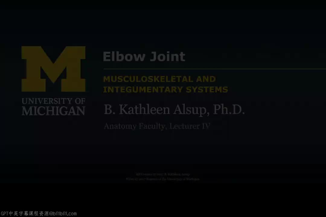 47_肘关节及相关关节.zh_en