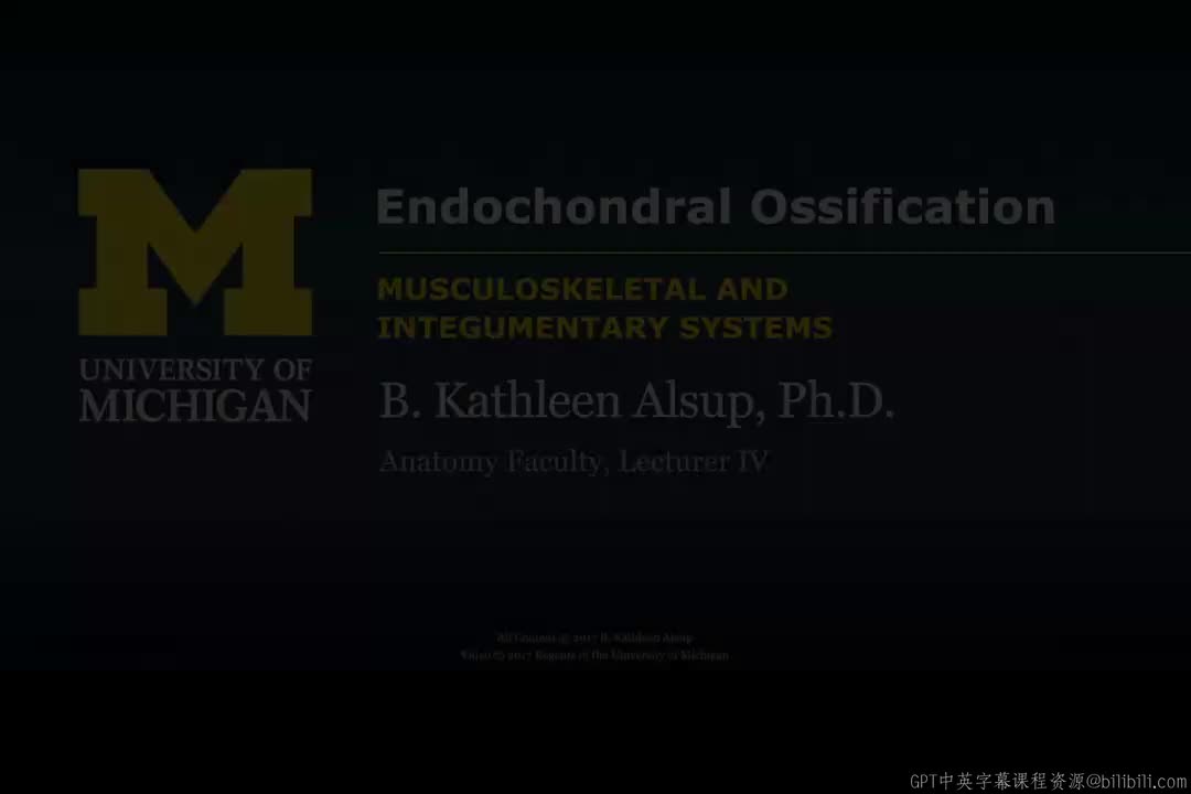 8_软骨内成骨.zh_en