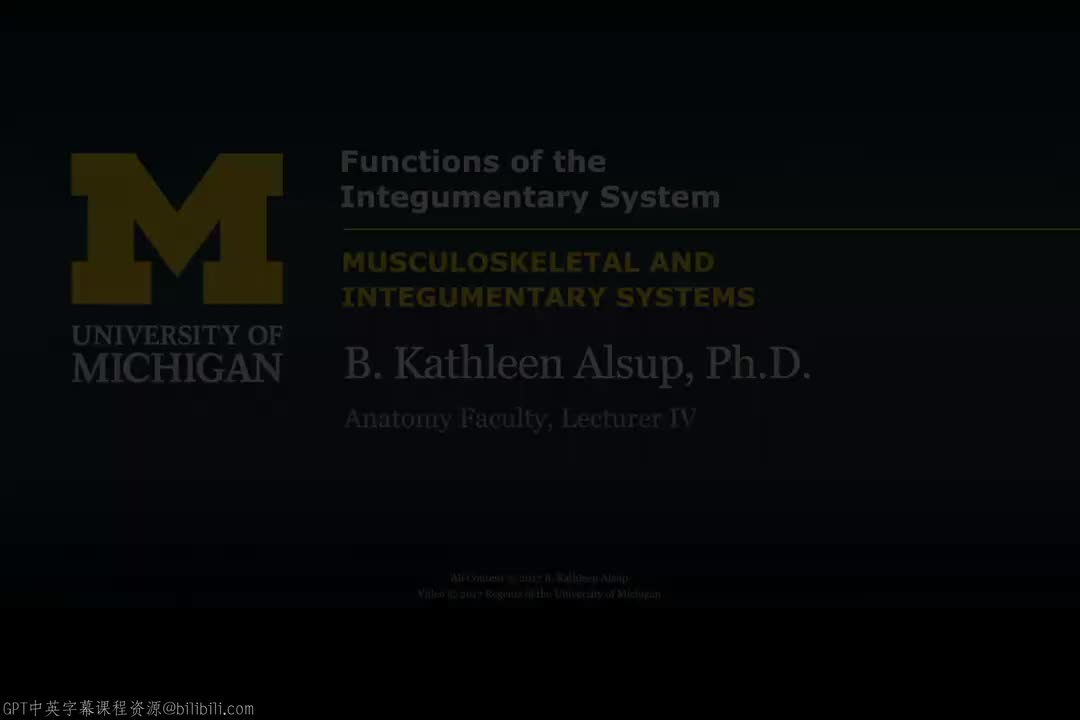 68_皮肤系统的功能.zh_en