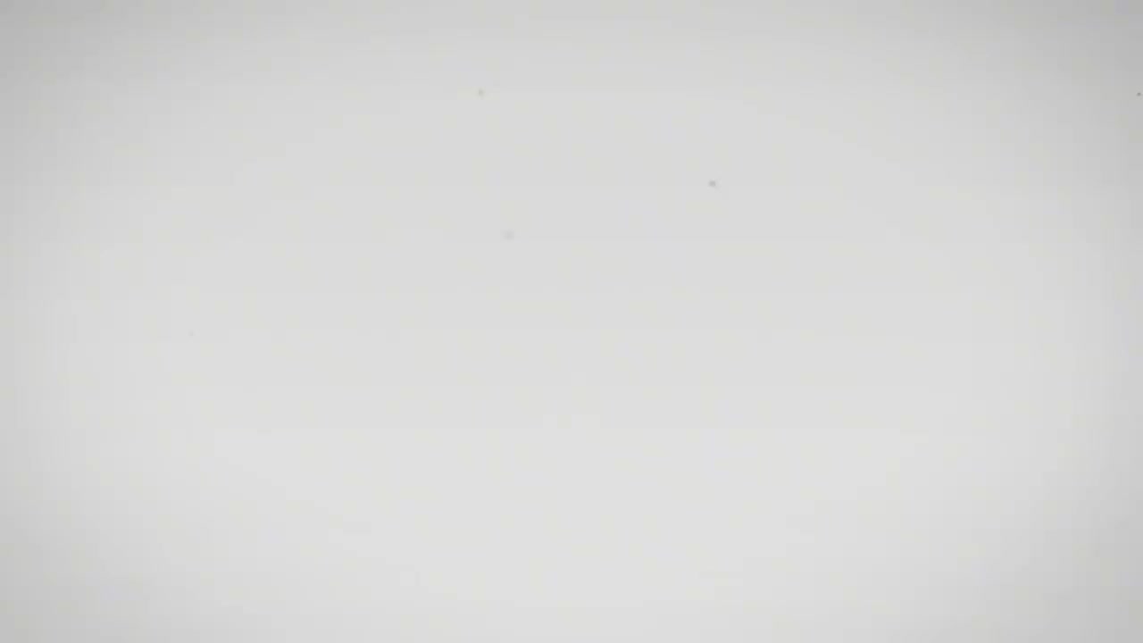 15_第三式：白鹤亮翅