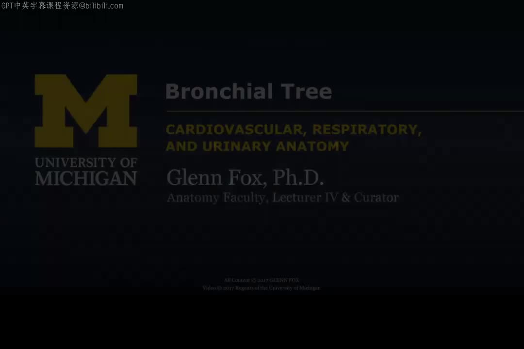 24_支气管树与肺泡.zh_en