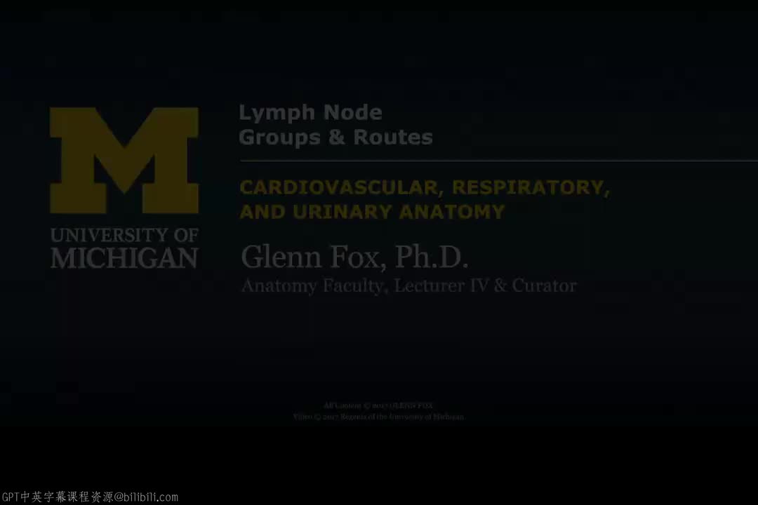 7_淋巴结群与淋巴通路.zh_en