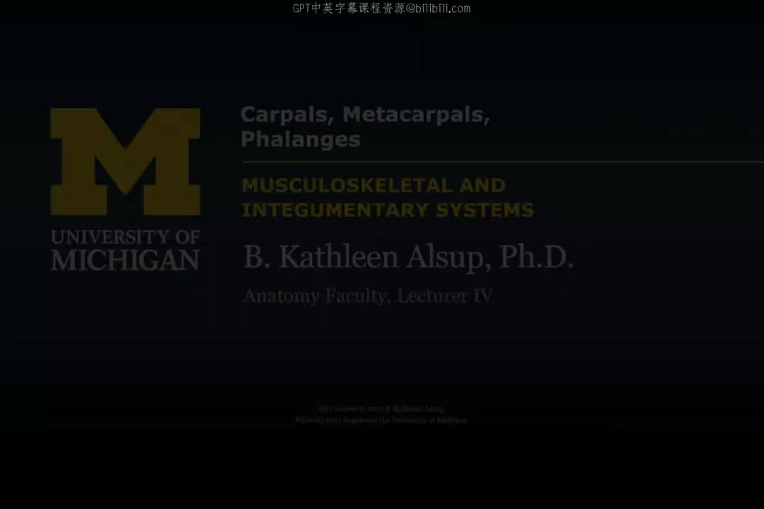 28_上肢骨：腕骨、掌骨与指骨.zh_en