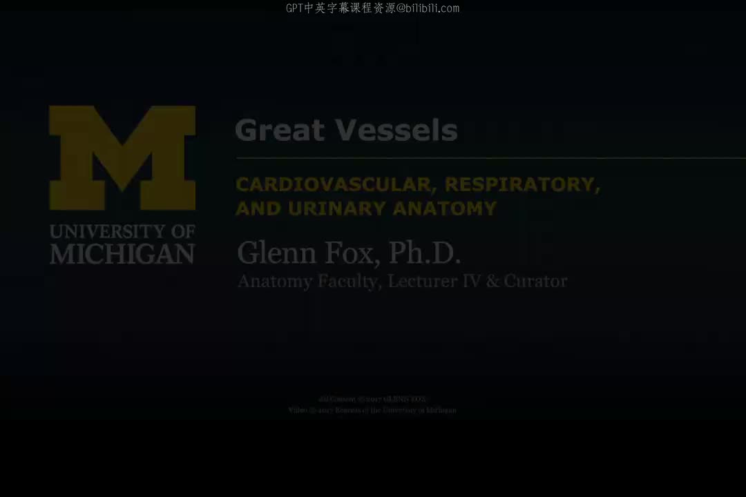 15_主动脉分支.zh_en