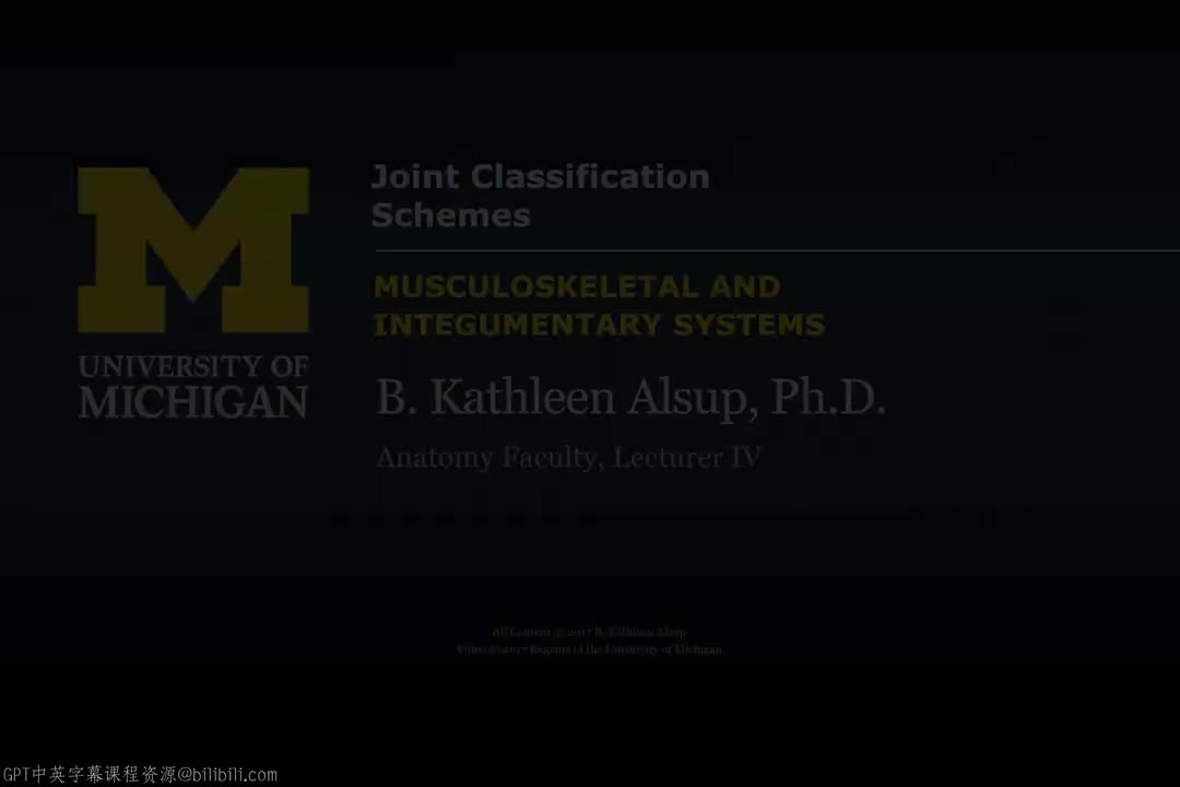 37_关节分类体系.zh_en