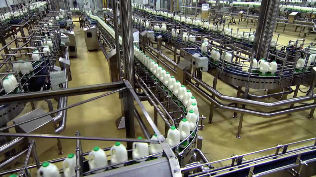 走进工厂 牛奶 6