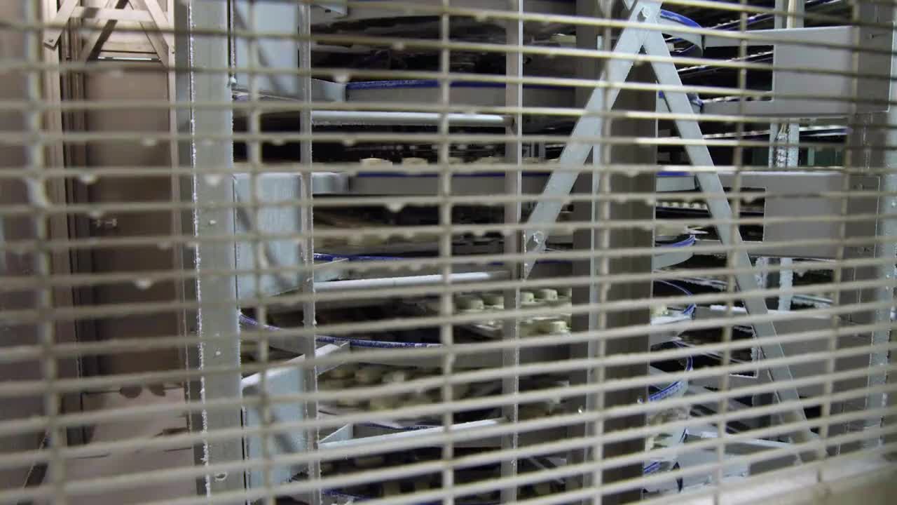 走进工厂 牛奶 10