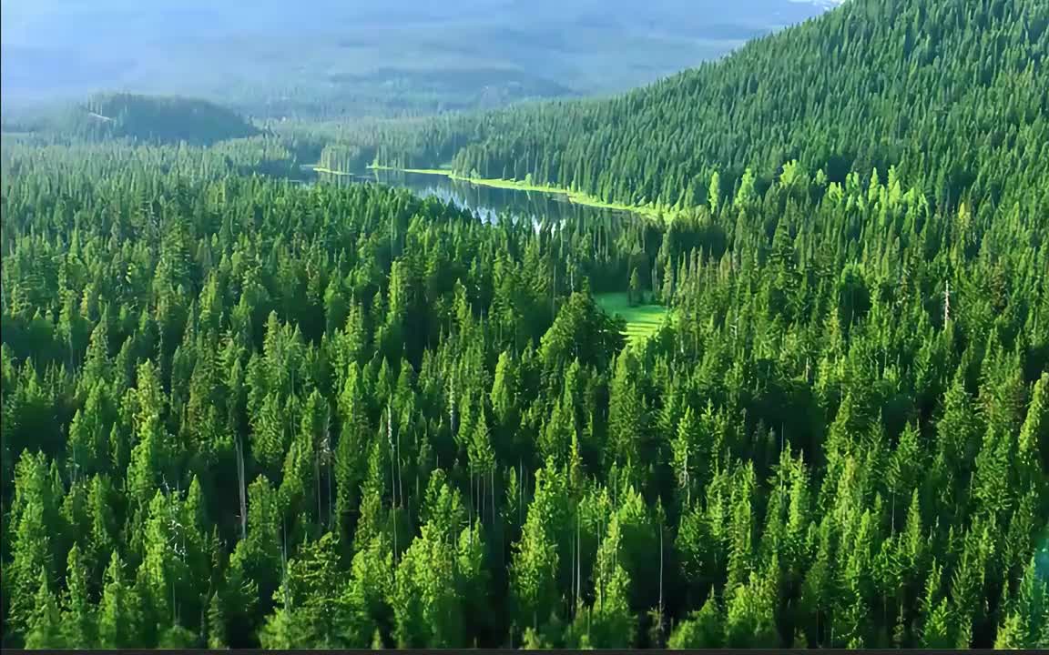 如何用AE合成雪景效果