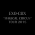 【百度EXO吧】181008 EXO-CBX Magical Circus Tour in Yokohama DVD 中