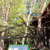 216，动物园一日游，KIDS AT THE ZOO