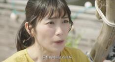 与君相恋100次 精彩看点 5