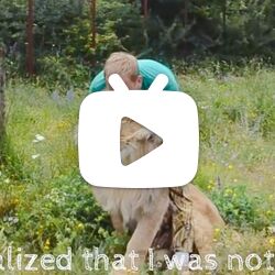 这是狮子"阿廖沙"的故事