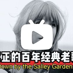 真正的百年经典《down