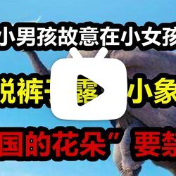 两位小男孩故意在小女孩面前脱裤子露"小象","阻国的花朵"要禁止