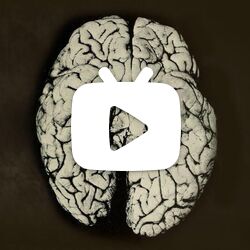 一位科学家不慎把两滴有机汞滴在她的手上,这是她的脑部发生的变化