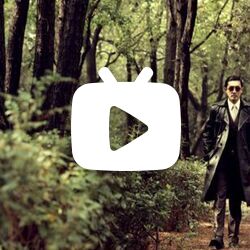 【麻雀】【毕深】血腥爱情故事