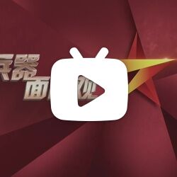 【搬运】cctv7国防军事频道《兵器面面观》栏目未成系列的节目集锦