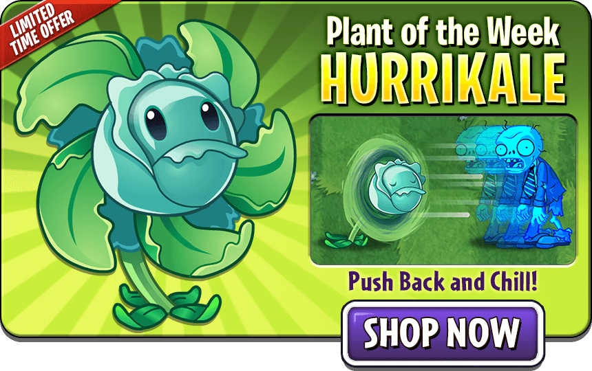 寒冰蓓蕾icebloom