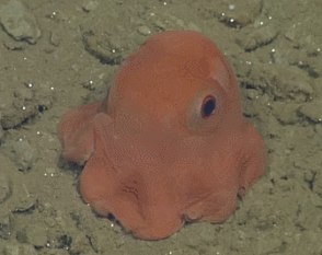 我闺女六十一 _ 哔哩哔哩相簿