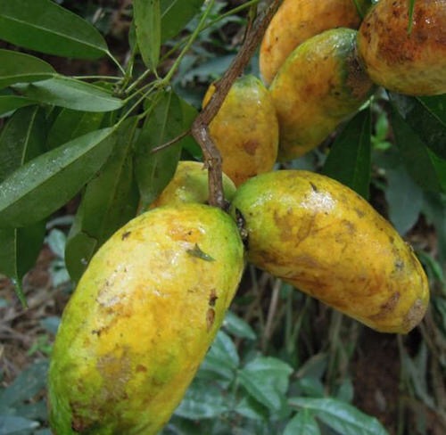 哔哩哔哩相簿,绘你所想,拍你所爱