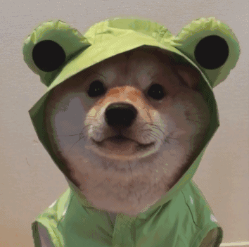 哔哩哔哩相簿,绘你所想,拍你所爱