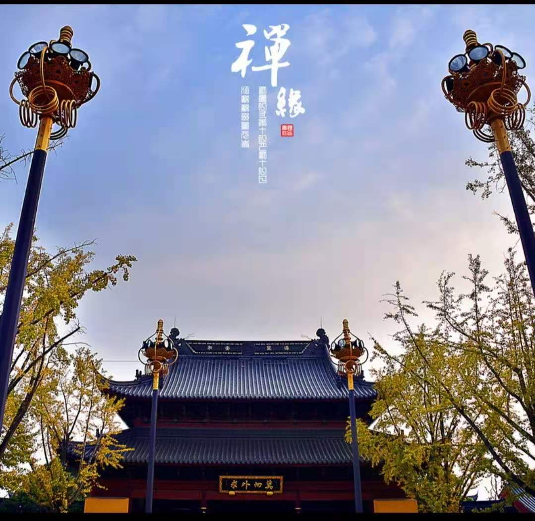 福慧长长 _ 哔哩哔哩相簿