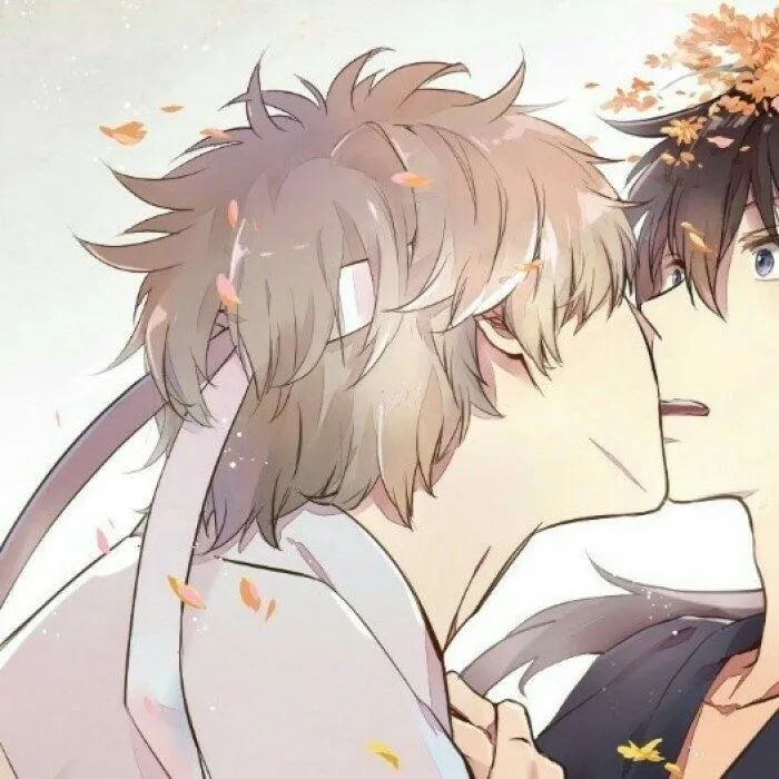 老狐仙大人 _ 哔哩哔哩相簿