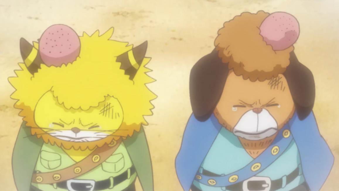 鱼生指教 _ 哔哩哔哩相簿