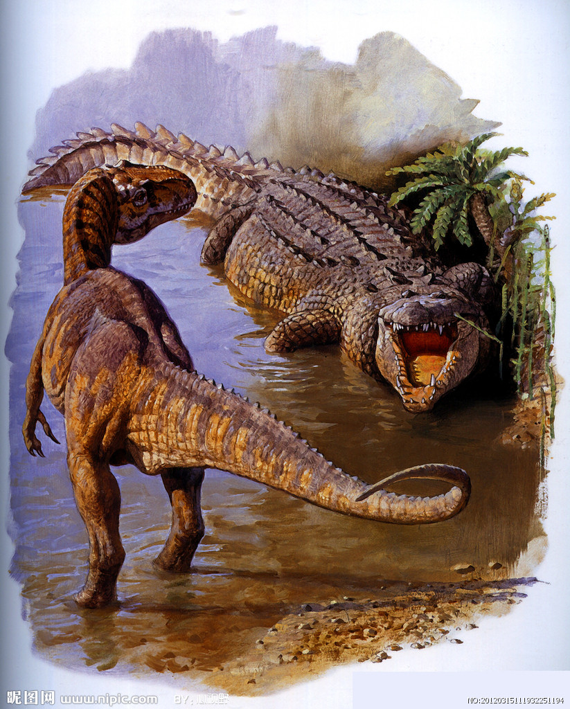 龙爪洪荒 _ 哔哩哔哩相簿