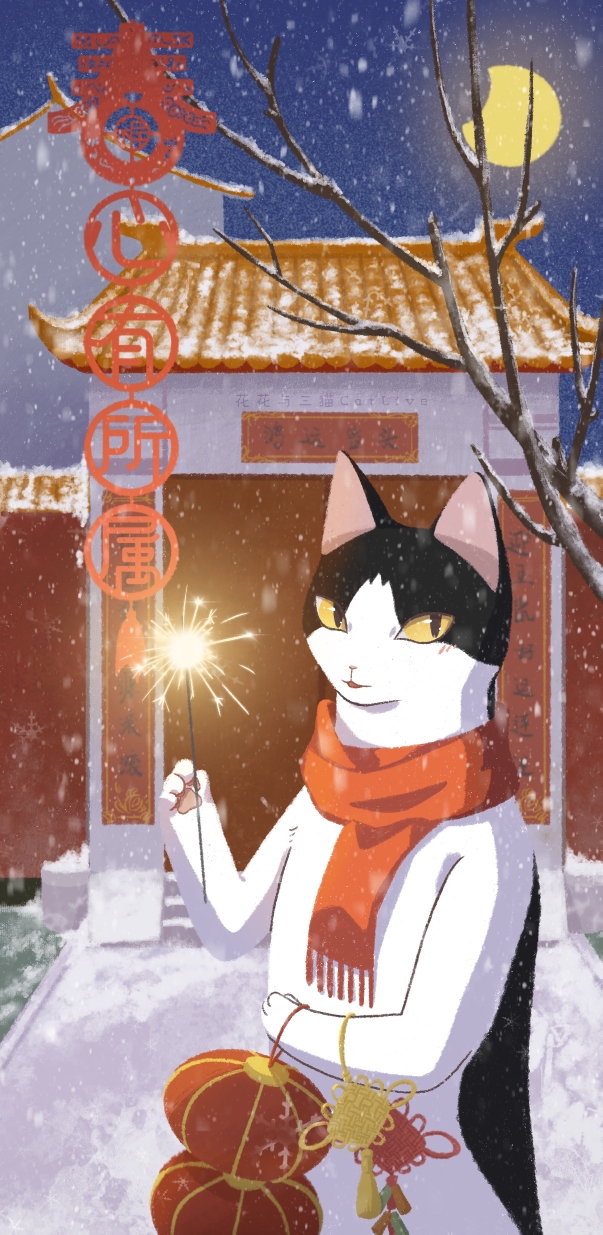 花花与三猫catlive动漫图片