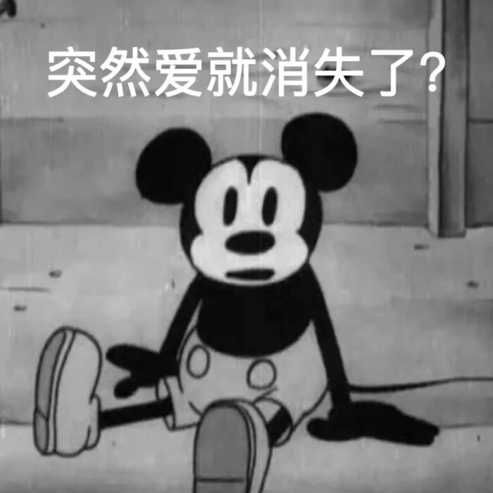 社恐の拽姐