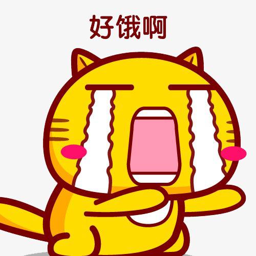 想在巴厘岛冲浪的喵 _ 哔哩哔哩相簿