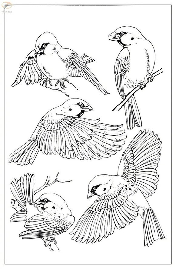 原画人在线学院 _ 哔哩哔哩相簿