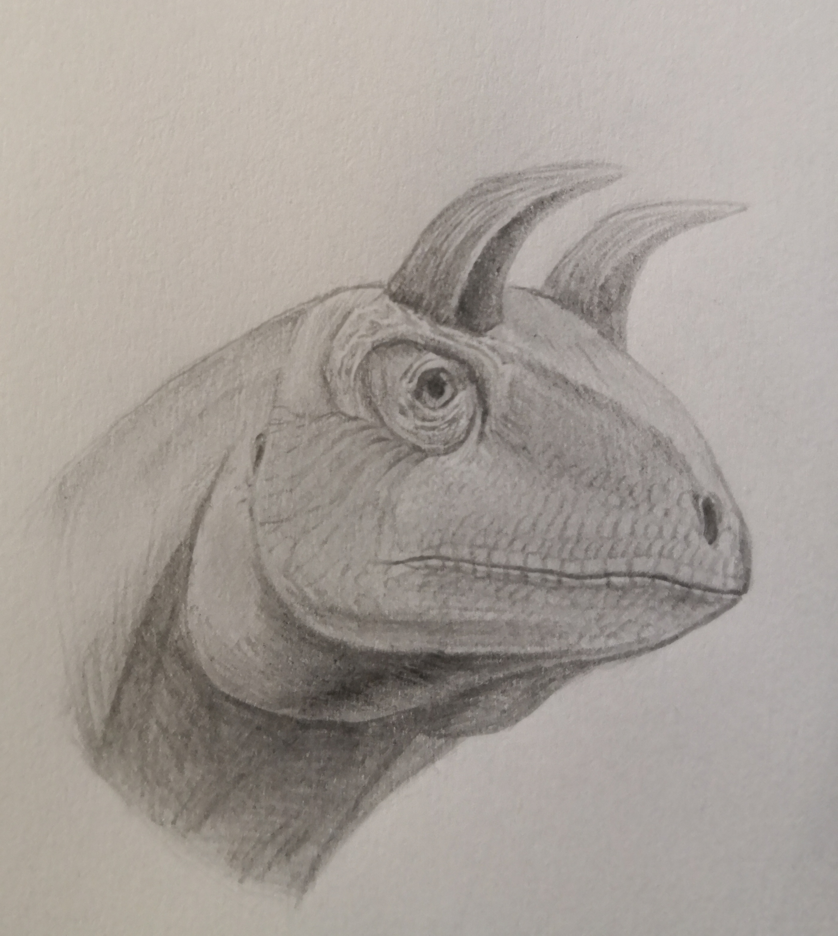 刚解除巨人化的犄龙[tv_斜眼笑]