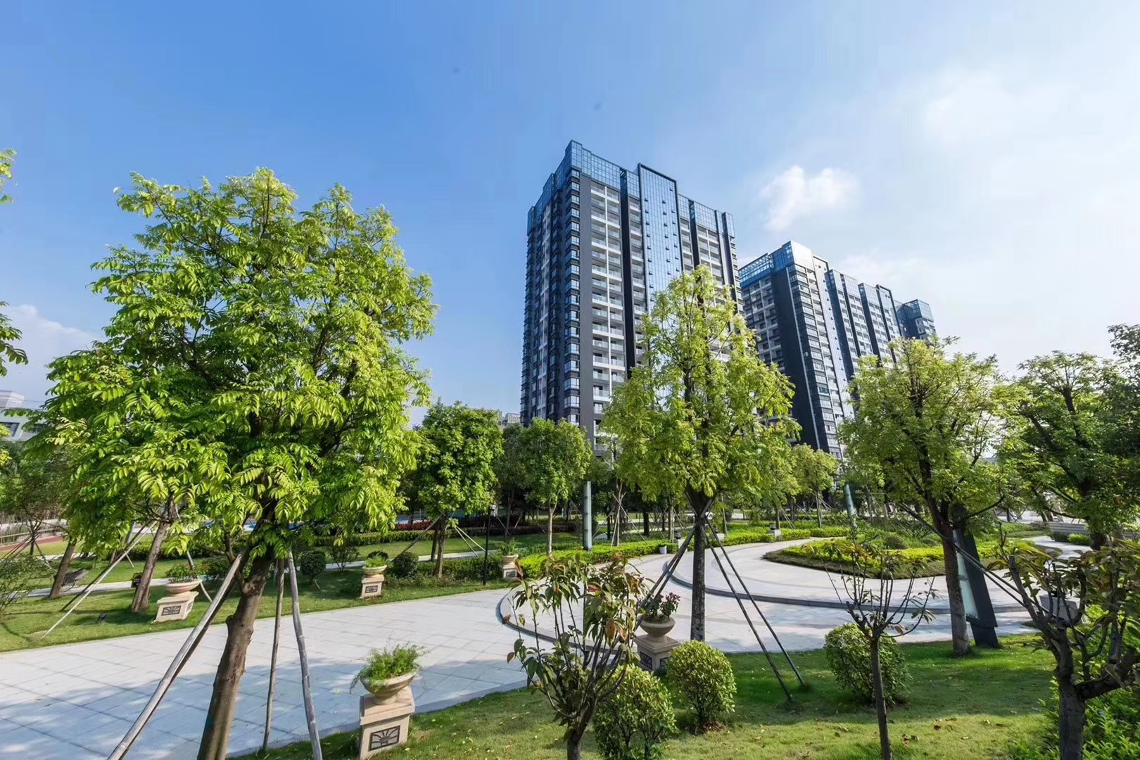 哔哩哔哩相簿,绘你所想,拍你所爱