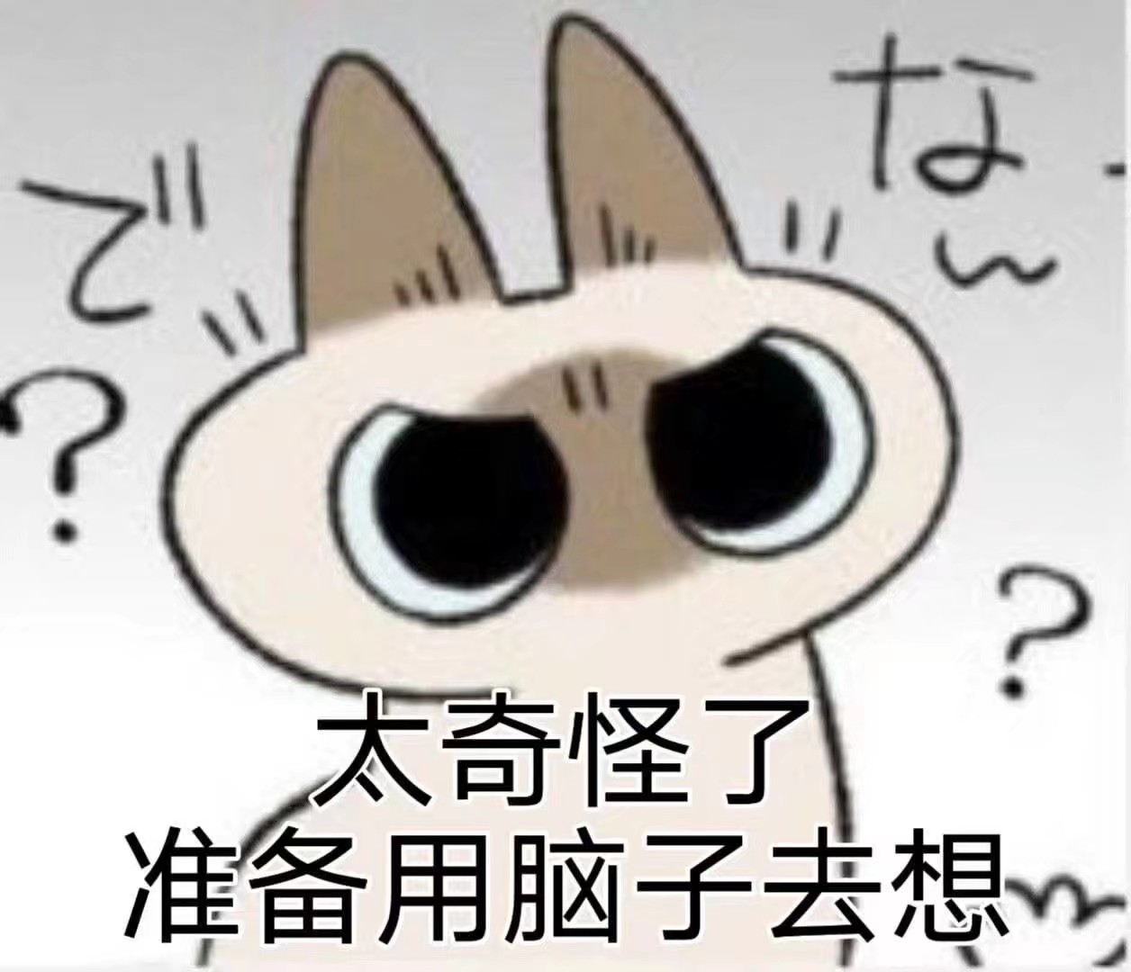 蒜蓉丶拍黄瓜 _ 哔哩哔哩相簿