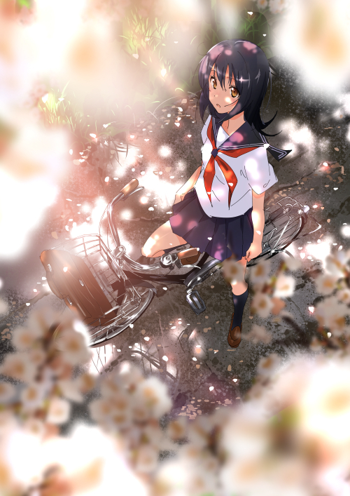 哔哩哔哩相簿,绘你所想,拍你所爱