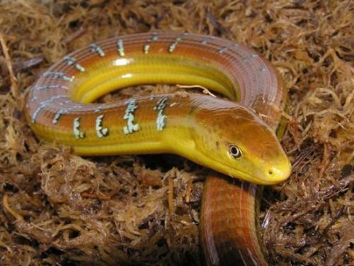 明年再见今年退网了 _ 哔哩哔哩相簿