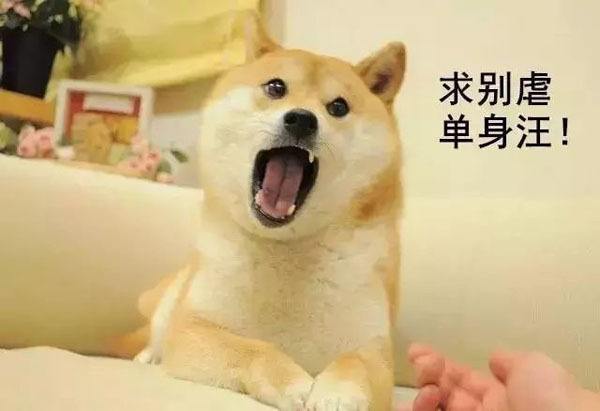 懒猫中的大猫妖