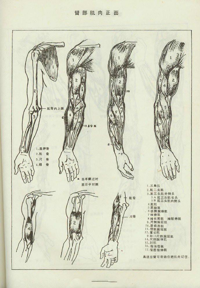 北京传奇画室 _ 哔哩哔哩相簿