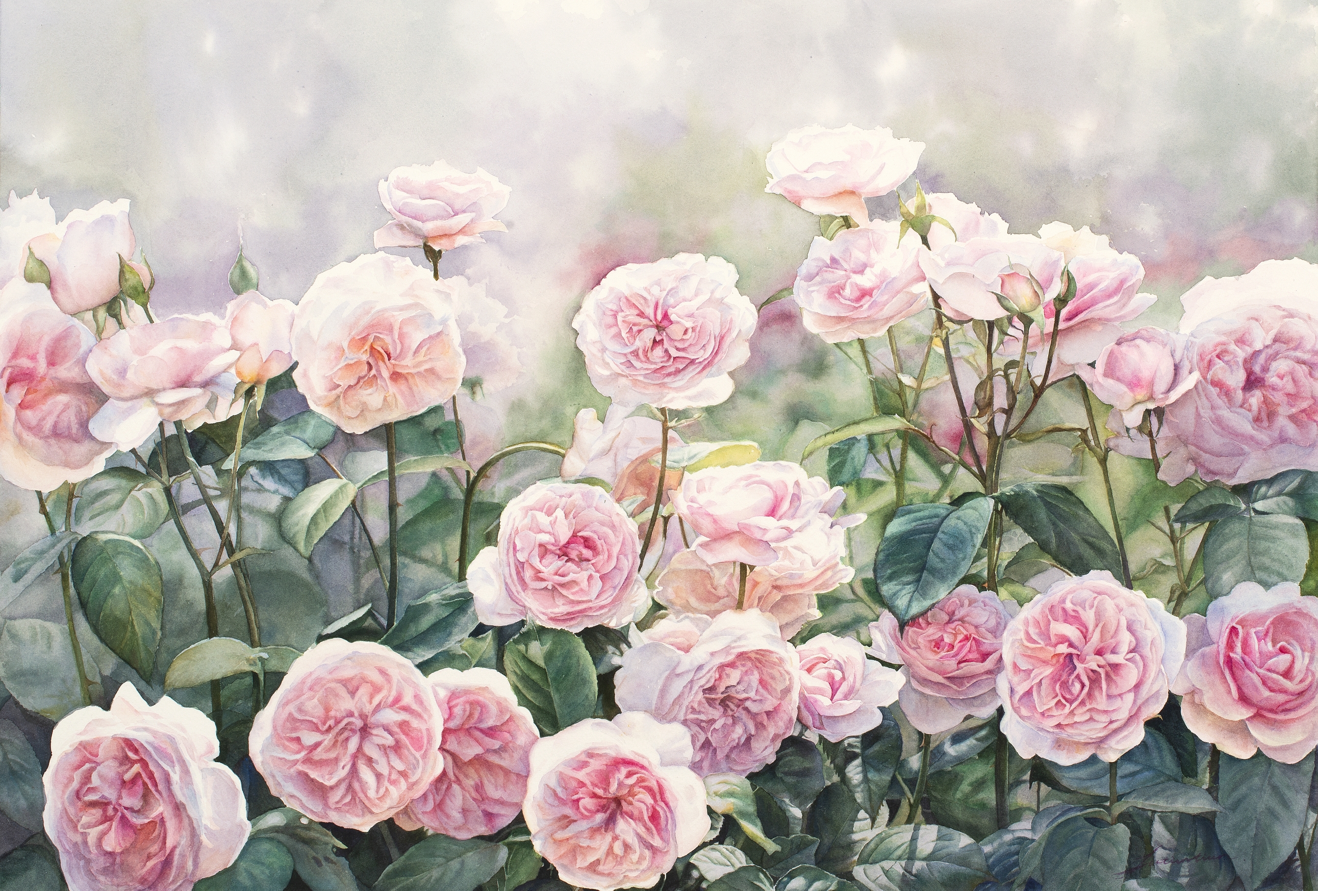 马蒂尼水彩艺术